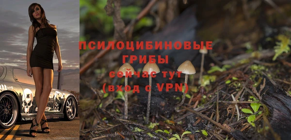 первитин Абинск