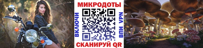 Псилоцибиновые грибы мицелий  дарк нет официальный сайт  Курск  как найти наркотики  omg ССЫЛКА 