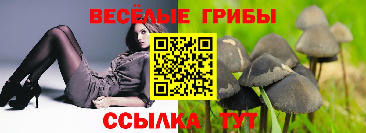 Курск  Псилоцибиновые грибы Cubensis  Псилоцибиновые грибы Psilocybine cubensis  Вход с VPN 